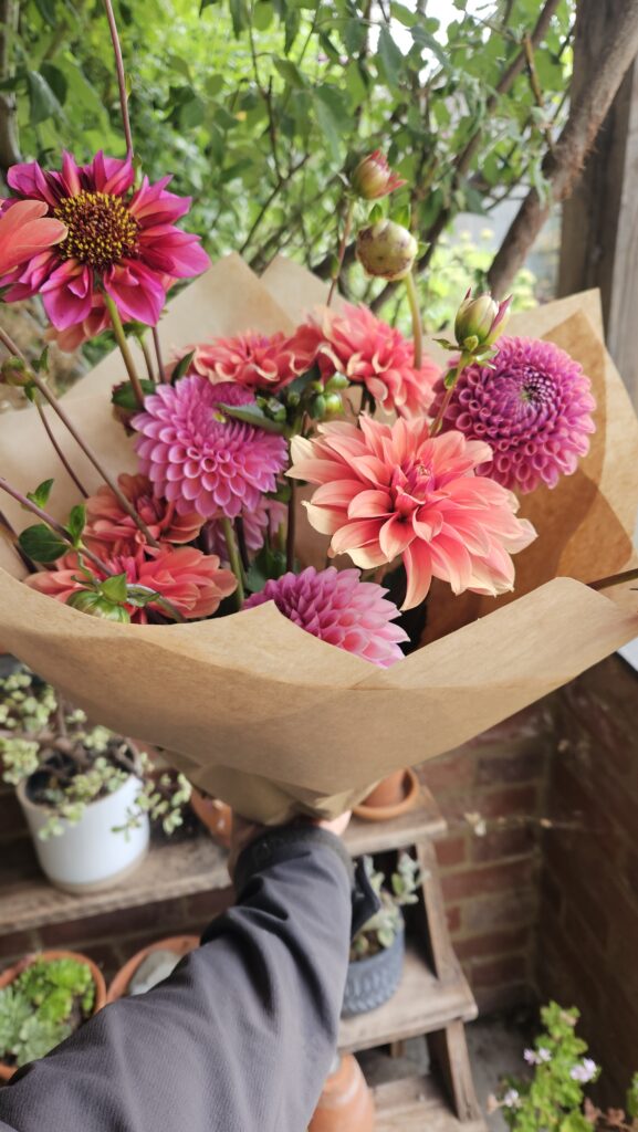 Dahlia bunch 3 scaled