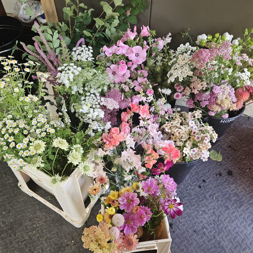 Florist flowers Summer pastelflowers scaled