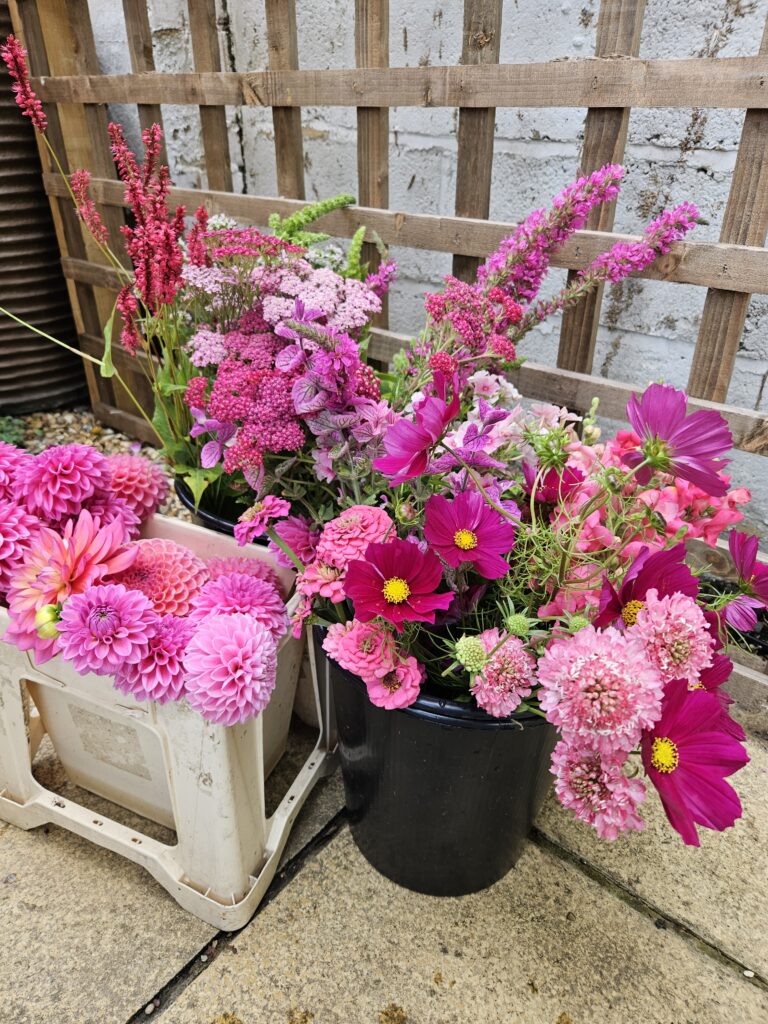 Flower Bucket pink flowers scaled