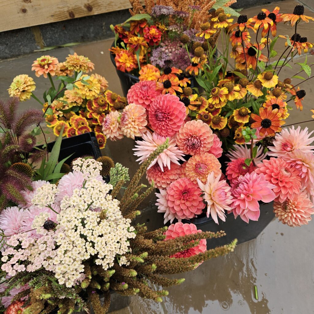 Party event flowers 2 scaled
