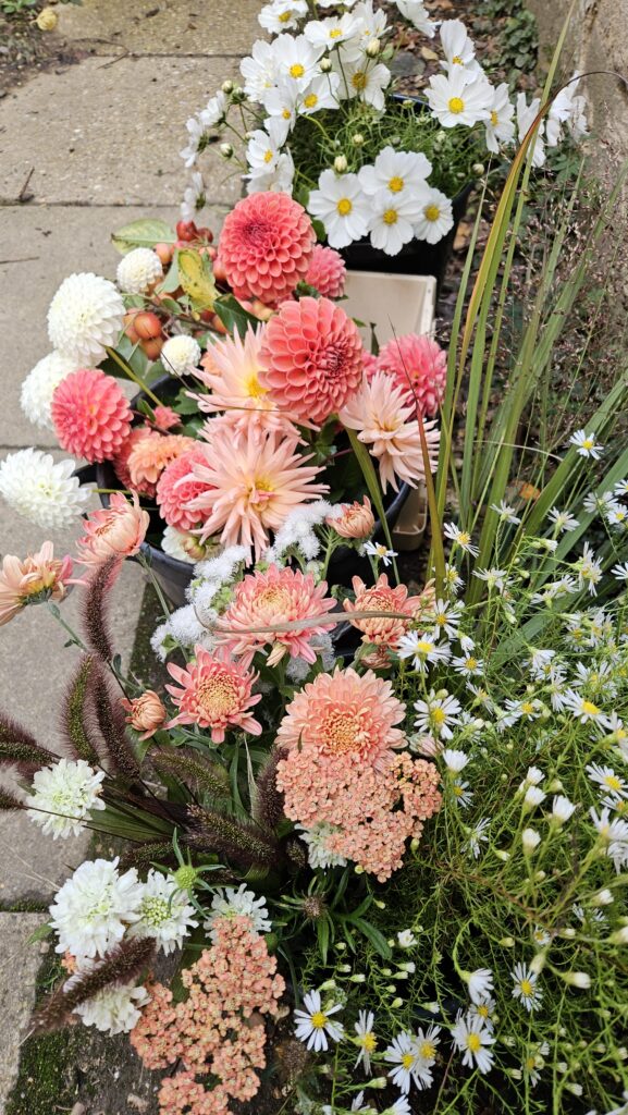Party event flowers peach White scaled