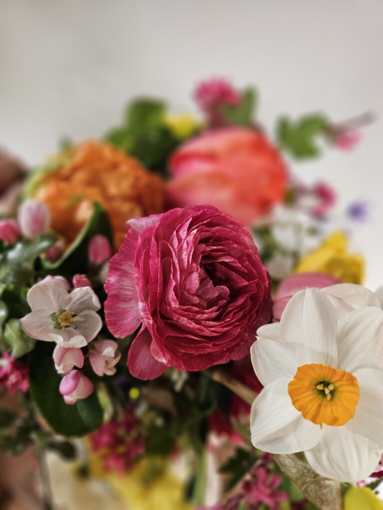 Spring Flowers scaled