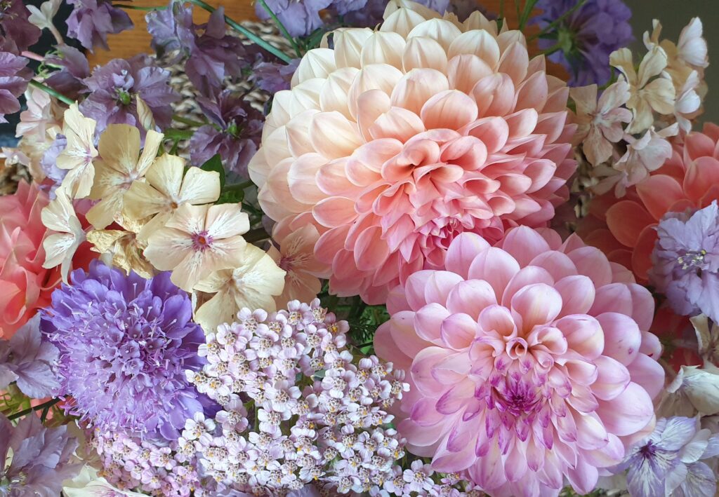Summer flowers pastel scaled
